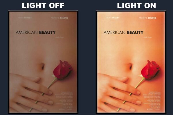 American Beauty LED Backlit Poster Frame – Award-Winning Drama Wall Art