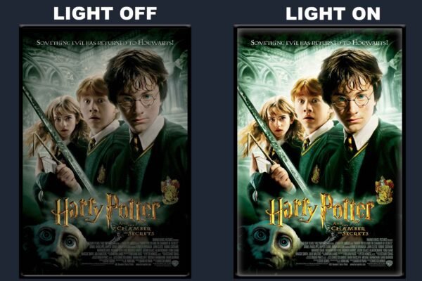 Harry Potter And The Chamber Of Secrets LED Backlit Poster Frame – Wizarding World Fantasy Movie Art
