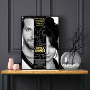 Silver Linings Playbook LED Backlit Poster Frame – Movie Display