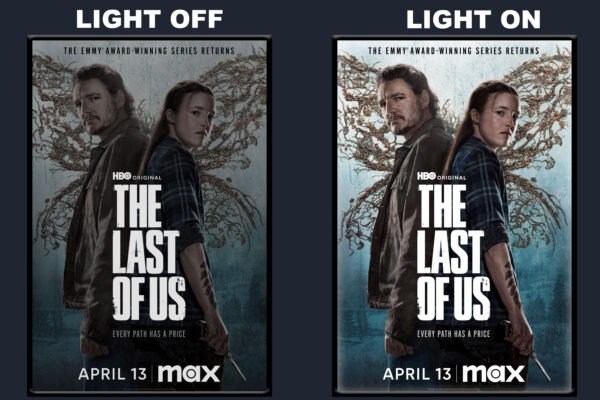The Last of Us LED Backlit Poster Frame – Ellie and Joel with Wings Wall Art Display