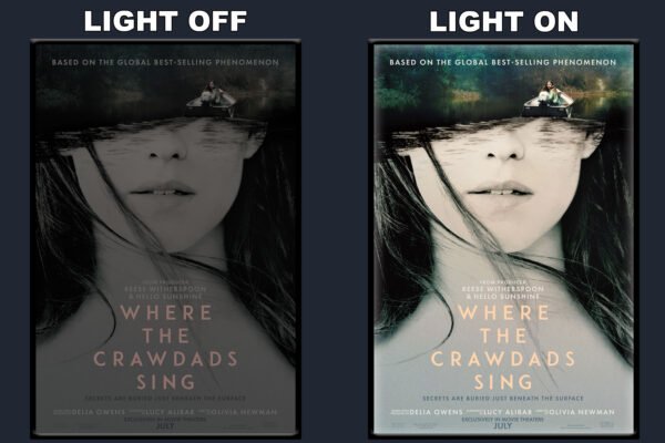 Where The Crawdads Sing LED Backlit Poster Frame – Movie Display